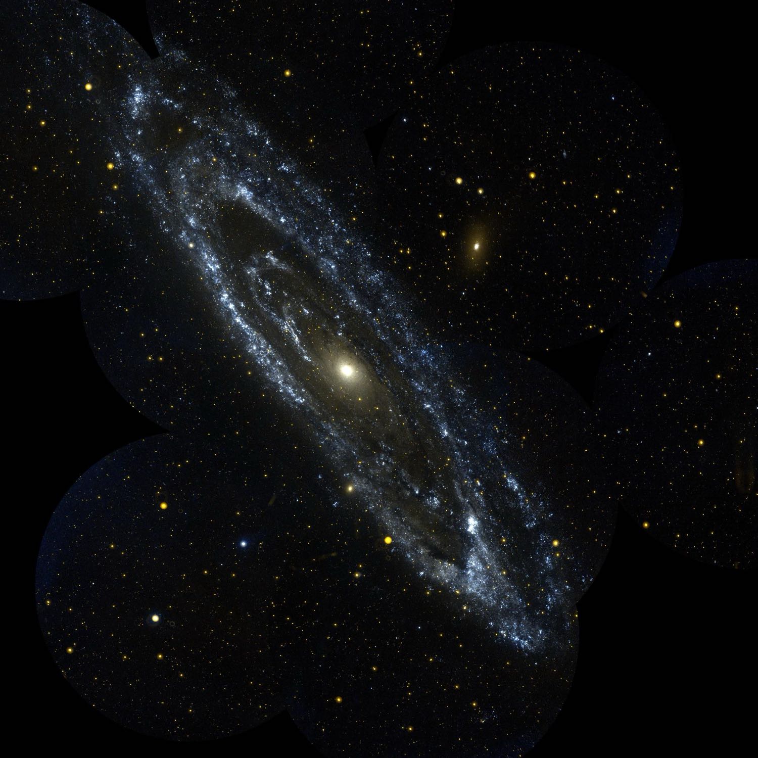 The Andromeda galaxy, a tilted silver-blue spiral with a bright golden centre