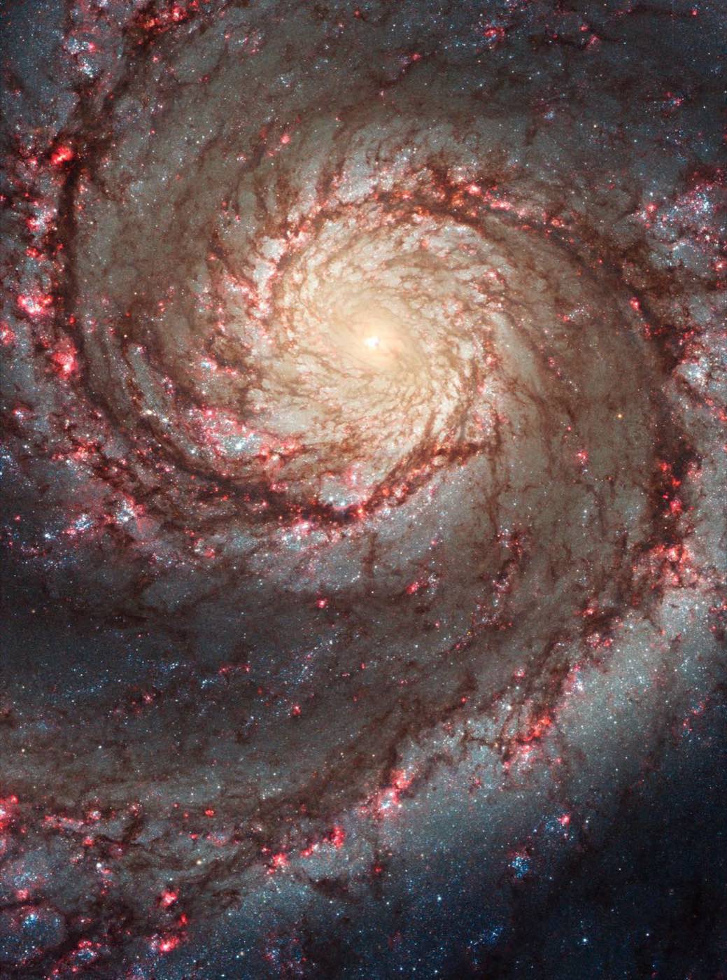 The Whirlpool galaxy, a bright spiral with curling arms dotted with pink